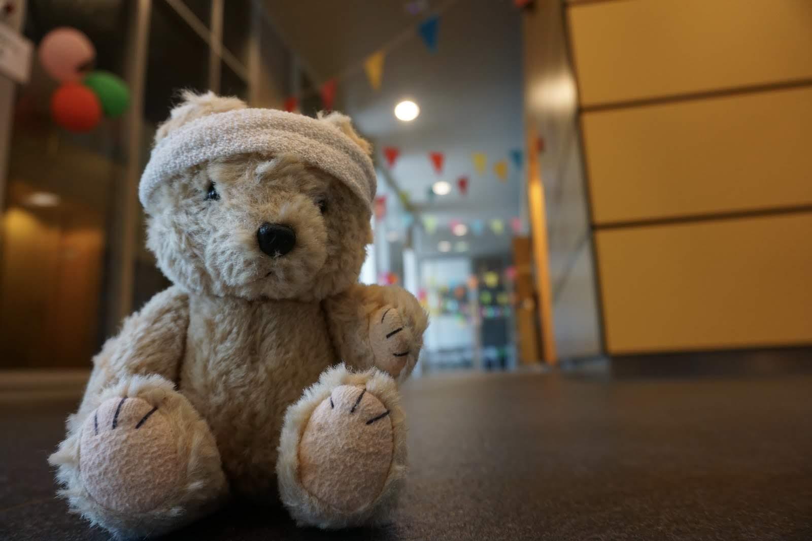 Mini-Teddy Bear Hospital